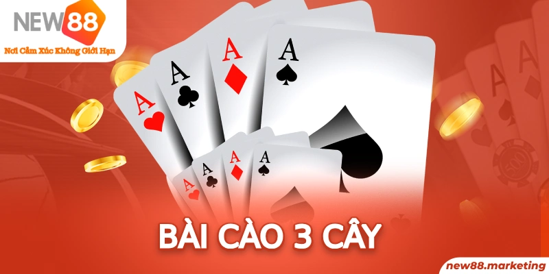 555 win bản đồ sao cá nhân
