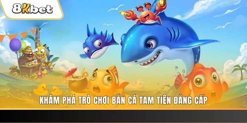 555 win thị trường baccarat là gì