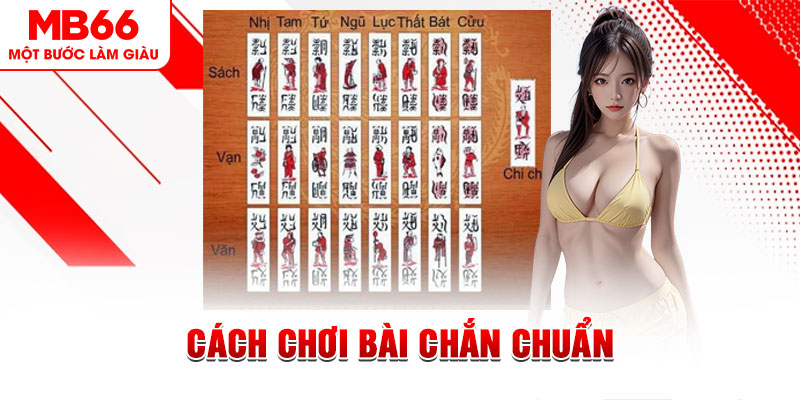 555 win gà chọi cậu thanh