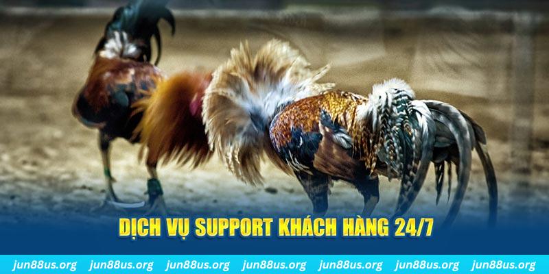 555 win ÁT CHỦ BÀI GIÀNH LẤY ZHUANG NIUNIU ( XEM 4 LÁ )