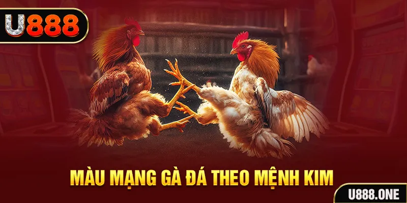 555 win Cỡ bảy