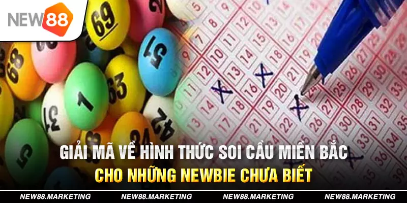 555 win xổ số tây ninh