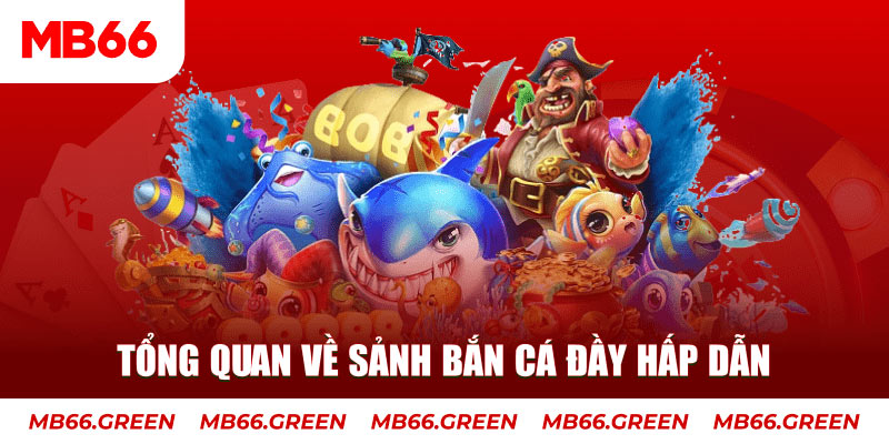 555 win cá cược thể thao trực tuyến kto
