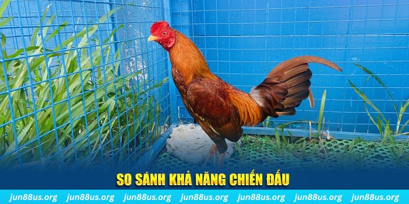 555 win CQ9 Điện Tử