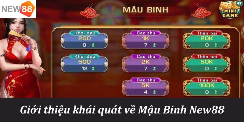 555 win Xì tố