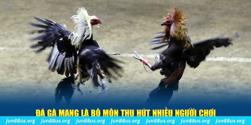 555 win bắn cá au88