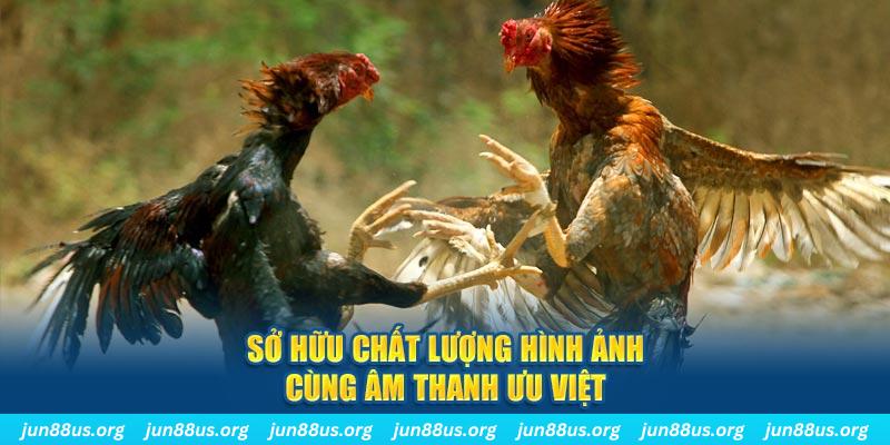 555 win PP Điện Tử