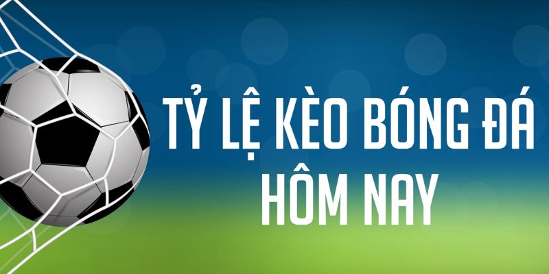 555 win gà chọi c1 mới nhất
