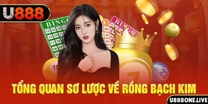 555 win hũ 8 bit nổ như thế nào