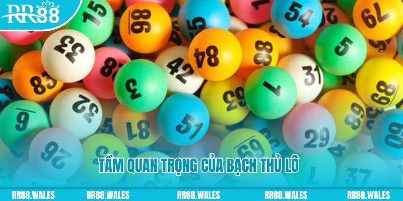 555 win xổ số an giang