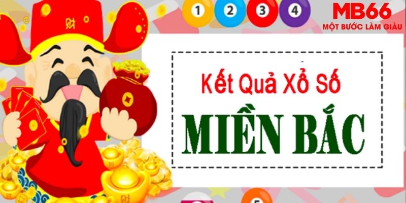 555 win chọi gà