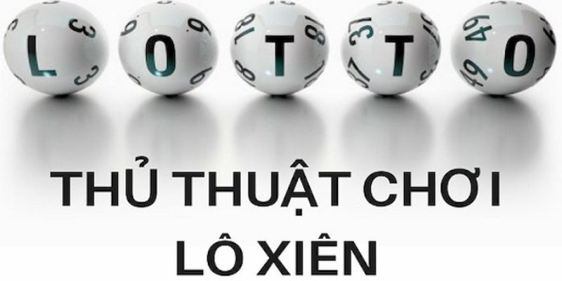 555 win trực tiếp đá gà thomo