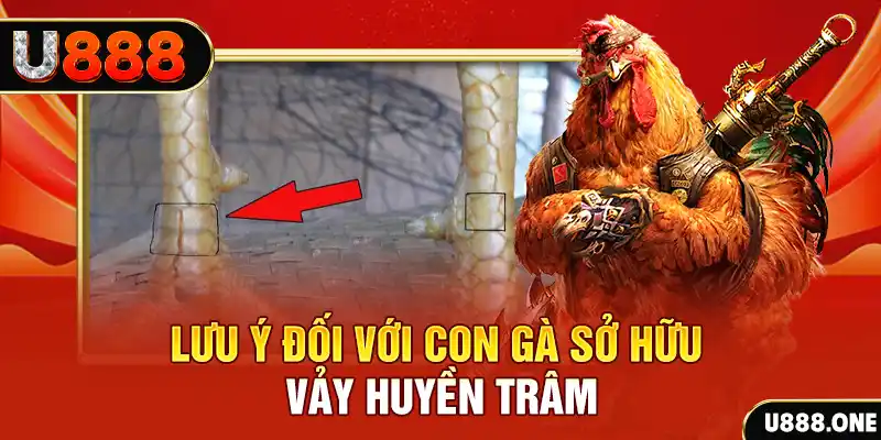 555 win kết quả xổ số miền nam hôm nay