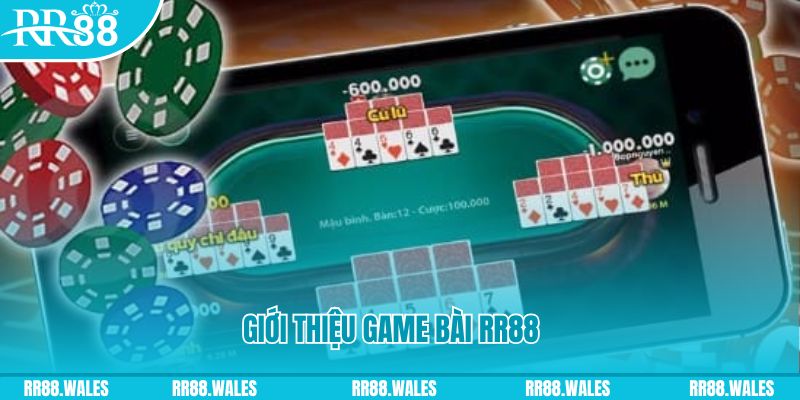 555 win đá gà hôm nay