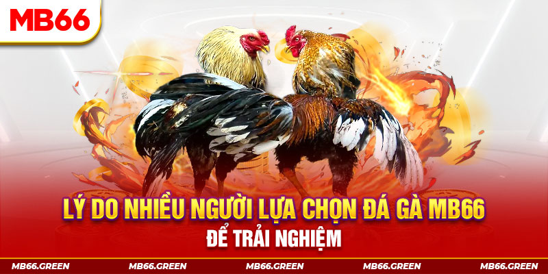555 win xổ số miền bắc thứ bảy hàng tuần