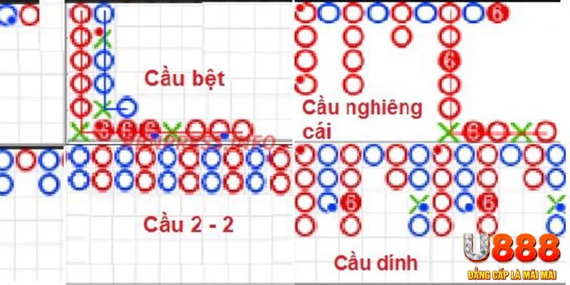 555 win xổ số hà nội hôm nay