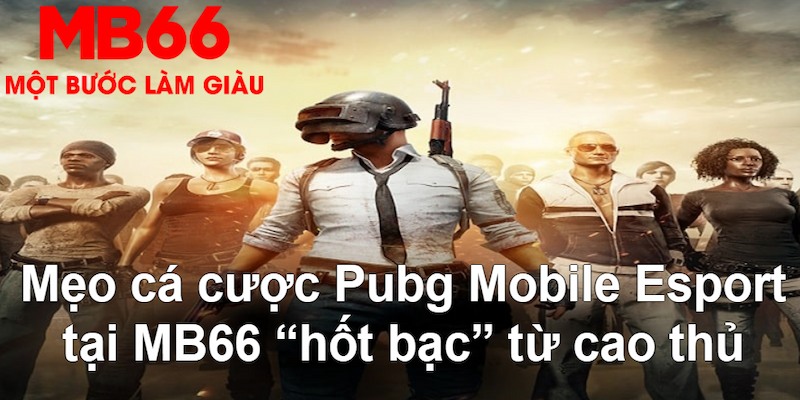 555 win VA Bắn cá