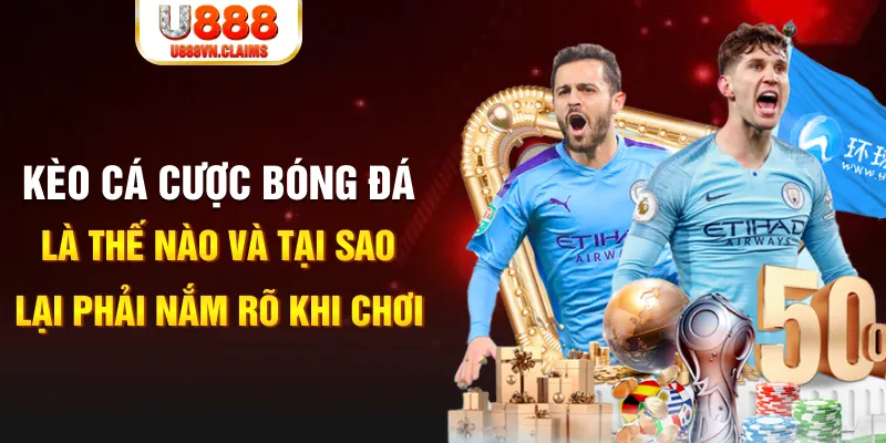 555 win xổ số kiến thiết