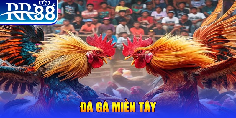 555 win no hu doi thuong ai