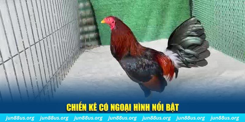 555 win game nổ hũ là gì