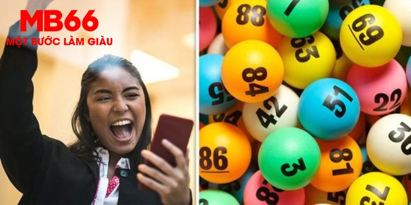 555 win Trăm Knorr