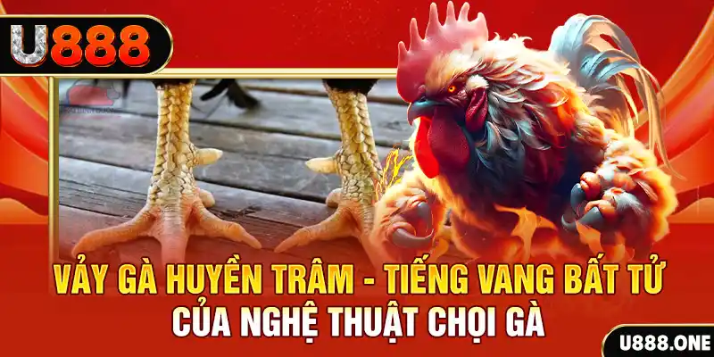 555 win xổ số miền bắc ngày hôm nay