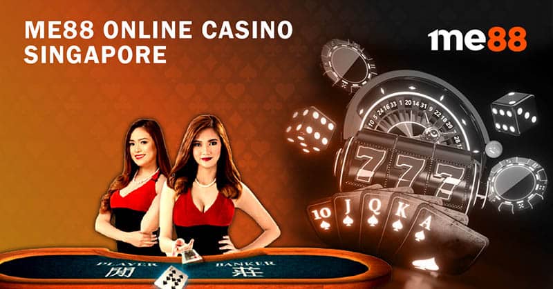555 win trực tiếp gà chọi c1